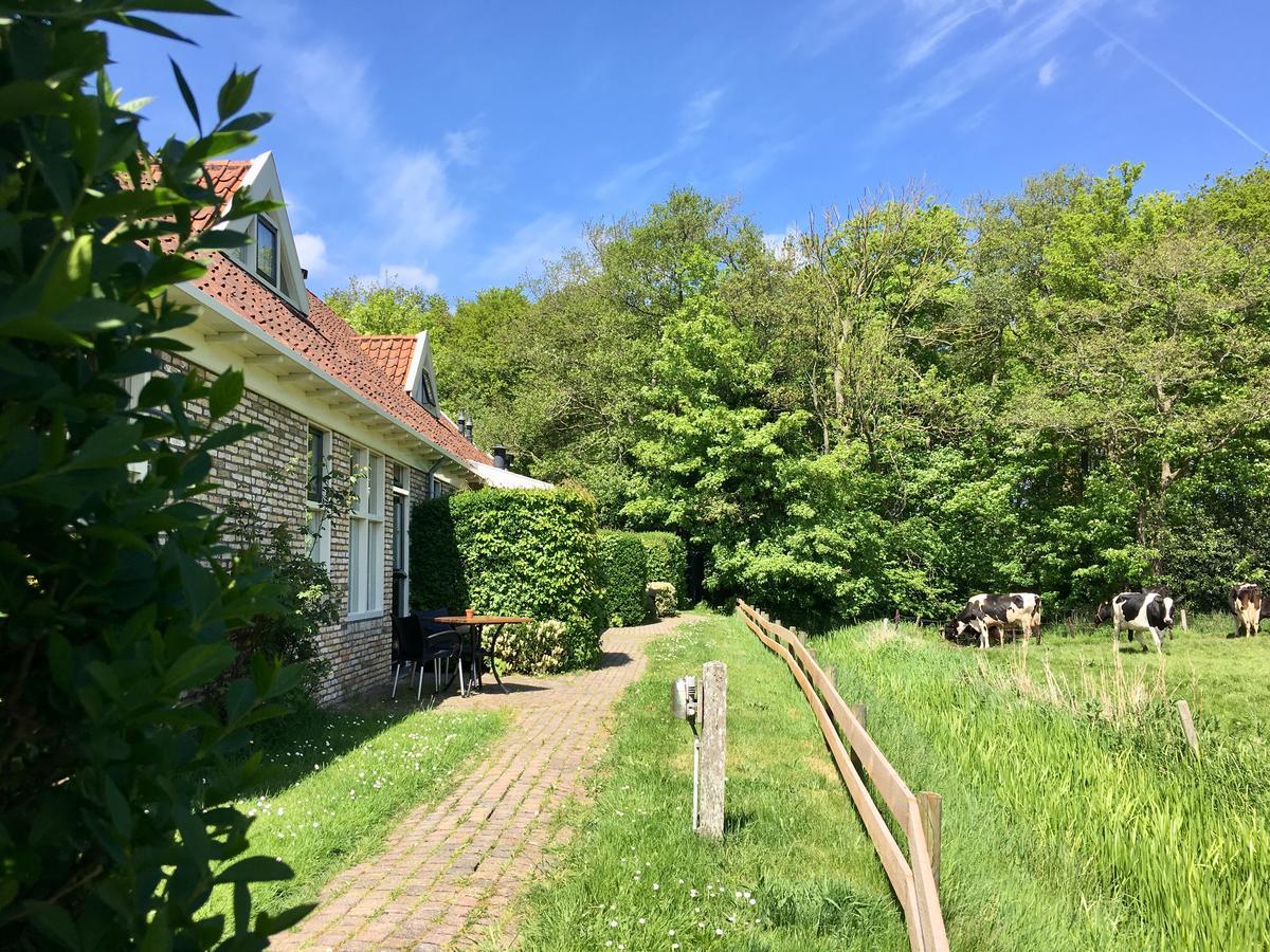 Bed & Bos De 14 Sterren Hotel Den Burg Eksteriør billede